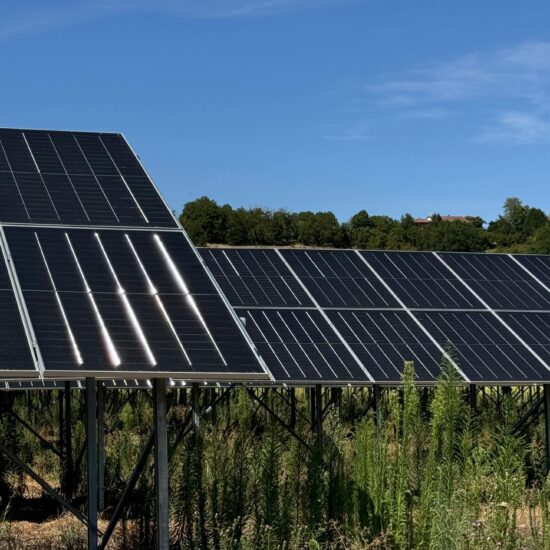 WhatsApp Image 2026-02-25 at 15.41.17 (1)