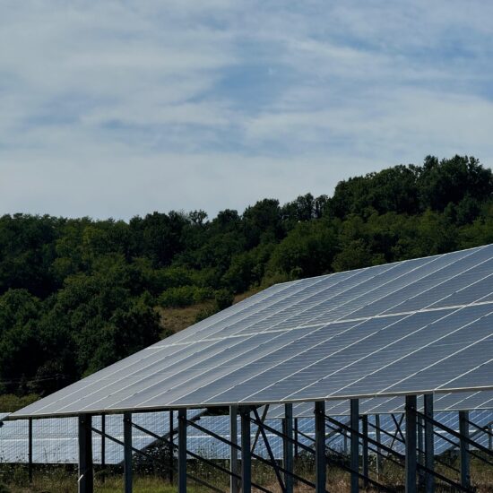 WhatsApp Image 2026-02-25 at 15.41.17 (2)