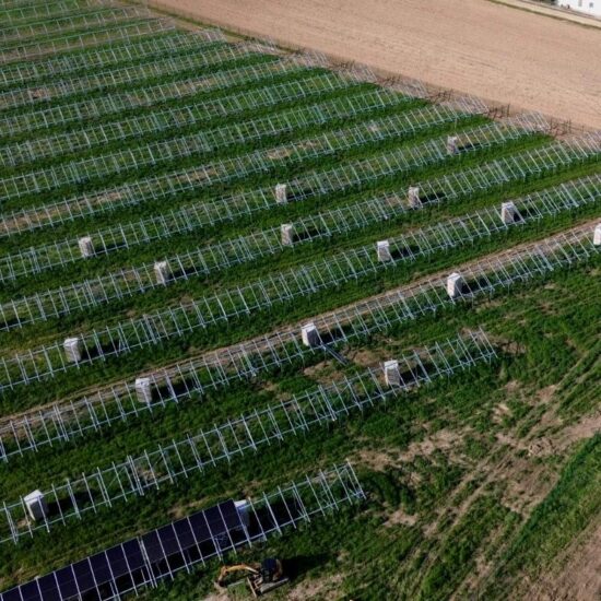 WhatsApp Image 2026-02-25 at 15.41.18