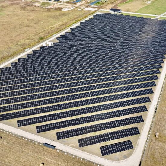 WhatsApp Image 2026-02-25 at 15.41.18 (8)