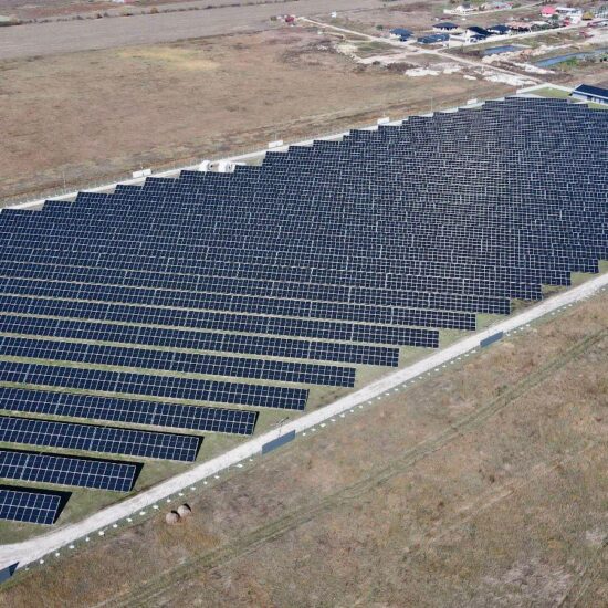 WhatsApp Image 2026-02-25 at 15.41.19 (2)