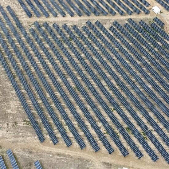 WhatsApp Image 2026-02-25 at 15.41.20 (8)